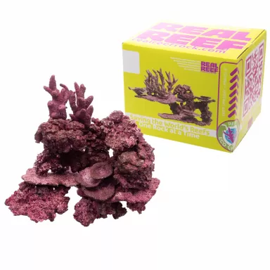 Real Reef Mini Mix - 9-10 stuks kopen? | Coralandfishstore.nl