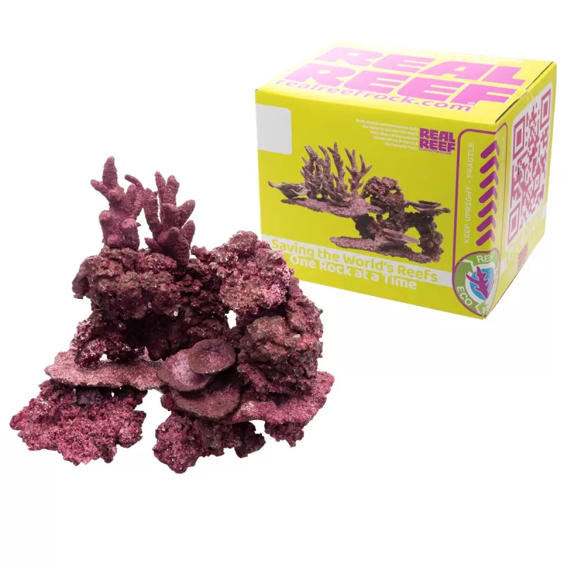 Real Reef Mini Mix - 9-10 stuks kopen? | Coralandfishstore.nl