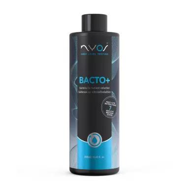Nyos Bacto Plus - 100ml