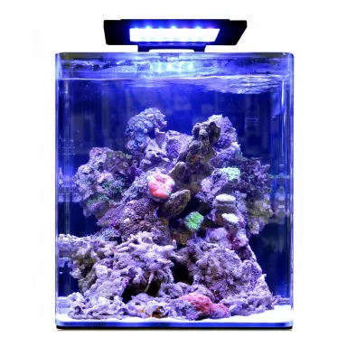 Blue marine reef 60 aquarium