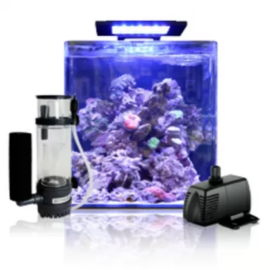 Blue marine reef 60 aquarium