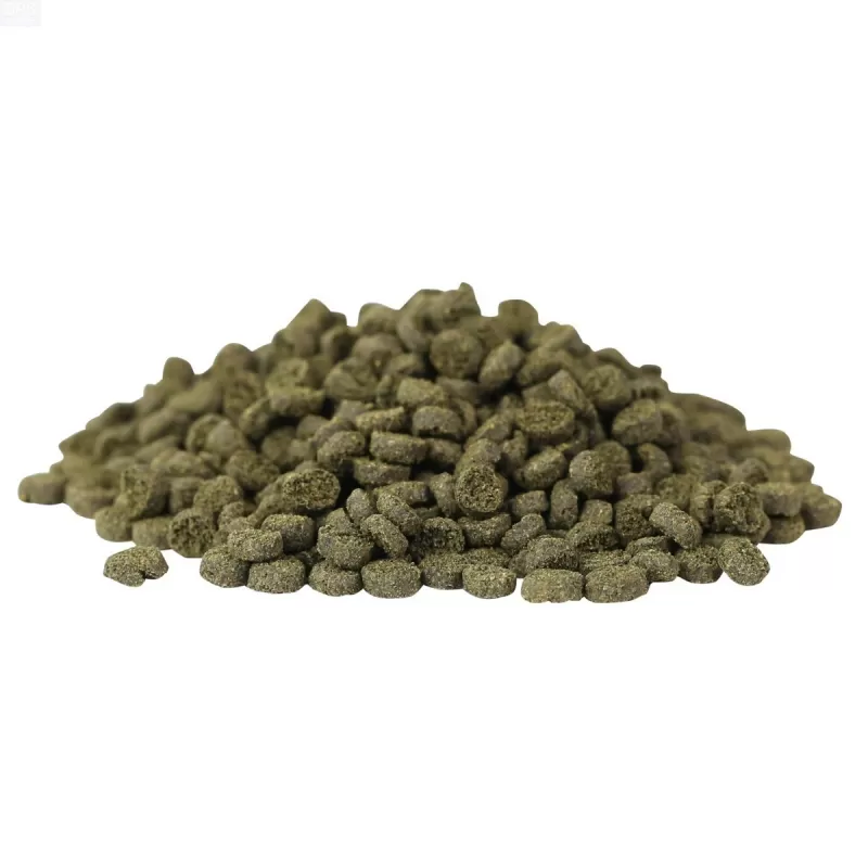 Hikari Meeresalge Kleines Pellet 100 gr