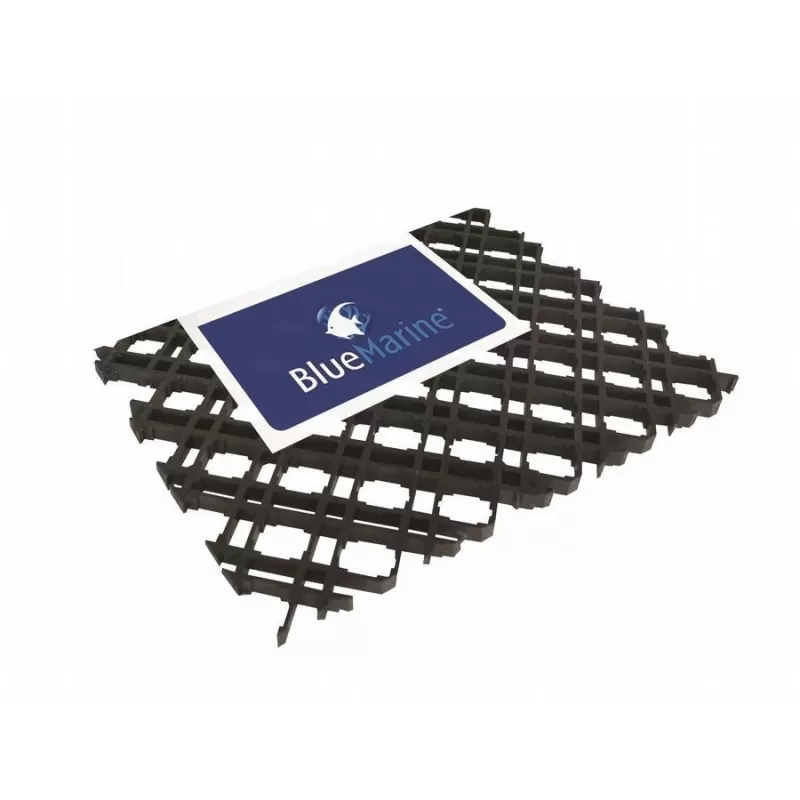 Blue marine coral rooster 39x43 5