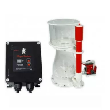 Royal exclusive BK Double Cone 180 internal RD3 50W