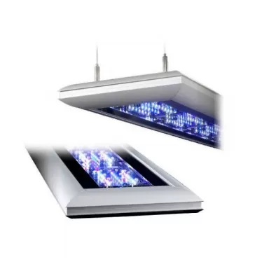 Giesemann futura s 650mm 3 modules 260 195W irridium metalic