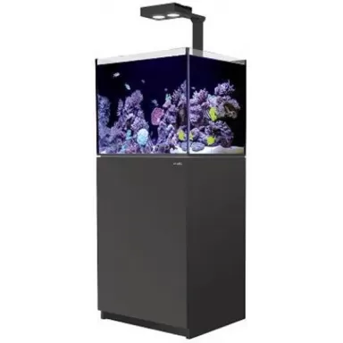 Red Sea Reefer 170 Deluxe zwart 7290100776803