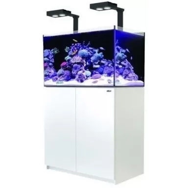 Red Sea Reefer 250 Deluxe wit 7290100776841