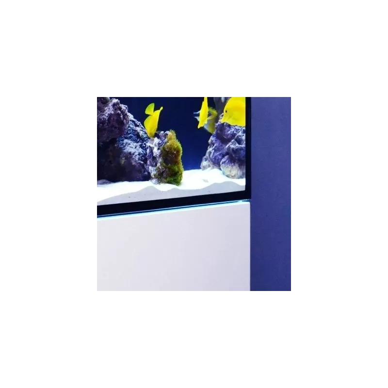 Red Sea Reefer 750 XXL wit - 7290100777459