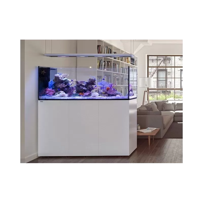 Red Sea Peninsula P500 Deluxe wit - 7290100774571