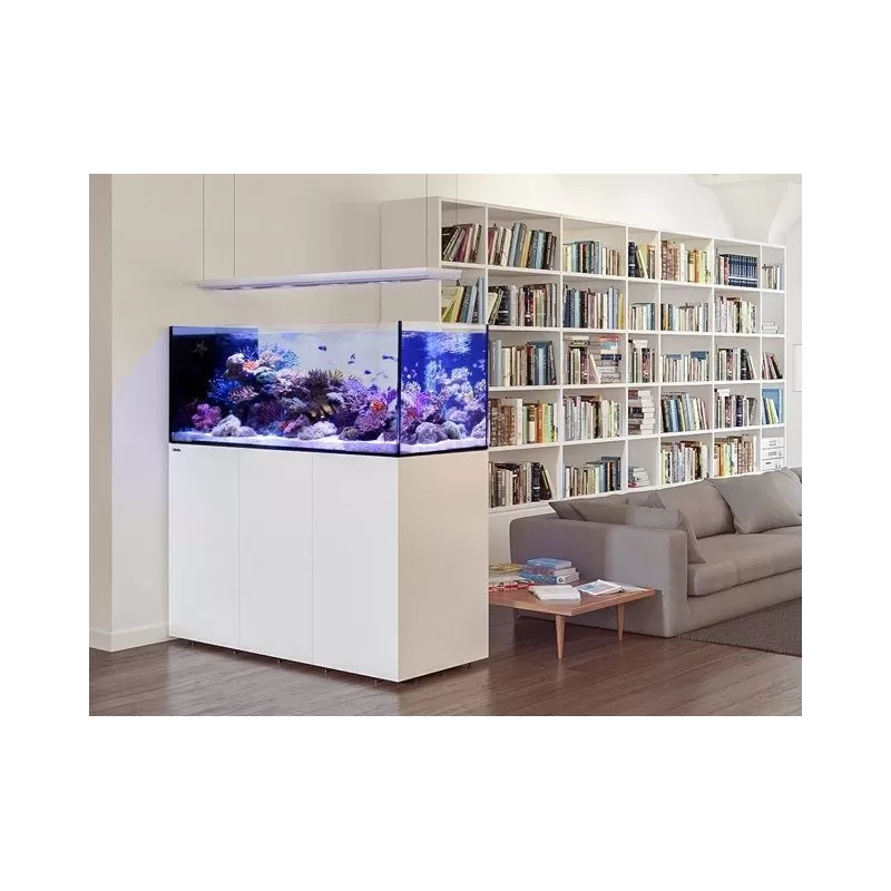 Red Sea Peninsula P500 Deluxe wit - 7290100774571