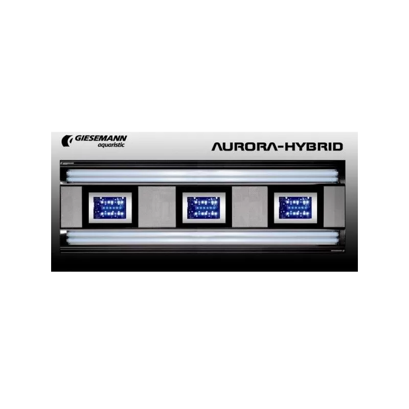 Giesemann Aurora  Hybrid 600