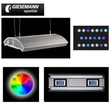 Giesemann Aurora  Hybrid 600