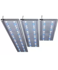 LED-Beleuchtung