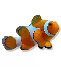 Zeeaquarium vissen kopen | Kleurrijke zoutwater vissen