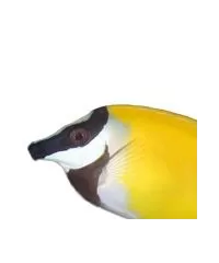 Vossen- en Konijnenkoppen