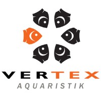 Vertex