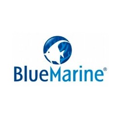 Blue Marine