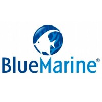 Blue Marine